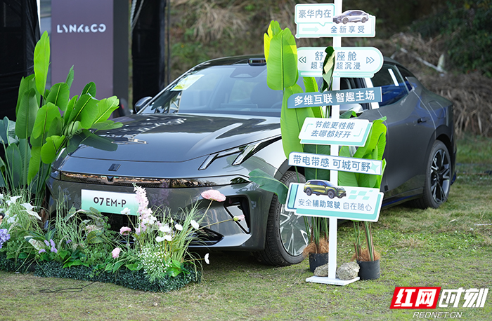 DSC07848 拷贝.jpg DSC07848 拷贝.jpg