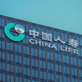 中国人寿:以两乡网点“小切口” 写普惠金融“大文章”