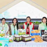 植想润深耕枇杷润茶赛道,非遗技艺引领健康茶饮新选择