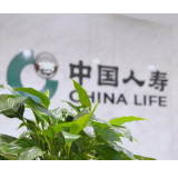 践行“枫桥经验”赋能基层治理 湖南国寿以创新实践书写金融担当