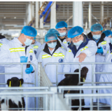 蒙牛携手“奶牛金钥匙”打造奶源高质量发展新范式 昂首迈向“十五五”