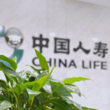 中国人寿以保险之力 让“老有所养”民生承诺落地生根