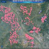 低空经济赋能基层治理 望城区探索秸秆露天焚烧无人机智能管控新路径