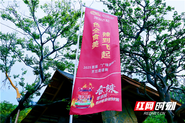 赛事吸引全国16个省份及自治区近300名精英报名，经遴选，120位选手晋级长沙线下决赛，成就国内首个专业级辣味专项赛事。湘江的奔放、川渝的麻辣、荆楚的醇厚……多元辣味技艺在赛场激烈碰撞，构筑起立体化的辣味文化展示平台。