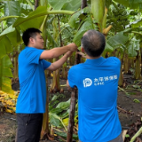 闻“风”而动 严阵以待 中国太保积极应对第18号台风“桦加沙”