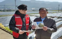 深耕沃野织“护网” 人保财险茶陵支公司护航烟叶春耕