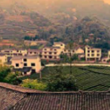 《民法典》在身边 | 《民法典》中的农村宅基地相关条款