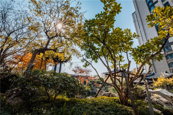 建发央著.jpg