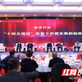 踏浪而上  2020湖南省招标采购委员会年会举行