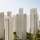 广州首次编制集体建设用地集体农用地基准地价