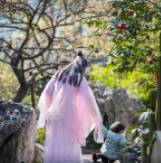 有奖征集 丨 满“园”春色关不住 随手“晒春”赢好礼