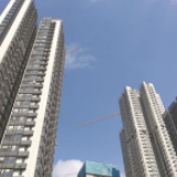 北京：东城重点商务楼宇开工率达95% 