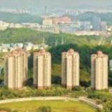 全球房产经纪人调查：逾八成称疫情将致其收入下降