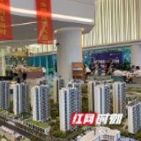 上新了，楼市 ① | 纯新盘加速入市 长沙这些盘“受宠”了
