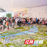 “银十”观察 ①｜长沙多盘抢收“国庆档” 纯新盘首开表现佳