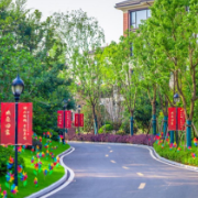 旭辉湖山赋 | 低密墅质人居范本 遇见优雅生活