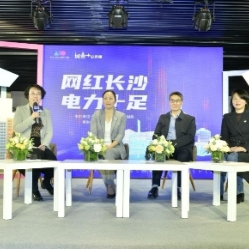 聚焦电力规划 长沙规划展示馆 “城市+”公开课如期开讲