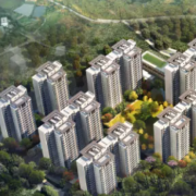 上海：5个新城将探索出台差异化购房和租赁政策