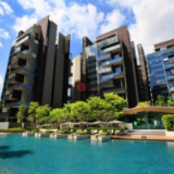 南京调查地产公司涉嫌砍伐树木事件：将依法查处