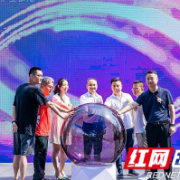 新力菩悦·星都汇招商发布会众商云集 共启财富新里程