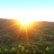 视频 | 树深处见墅，林深时见鹿——遇见麓隐青竹湖