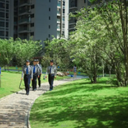 垃圾遍地、居民安全难保障…业主想换物业为何那么难