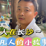 人在长沙｜我们就在自己菜地上搭房子来住……