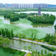 海南首宗土地交易使用银行保函替代竞买保证金政策落地