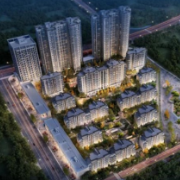 郑州拟进一步放宽中心城区落户条件 有合法稳定就业或住所（含租赁）即可落户