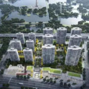 集中供地入市、去化速度放缓，试点现房销售城市规模扩大