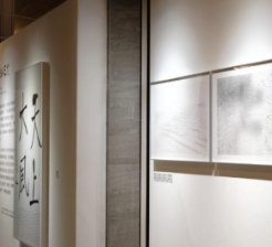 和江山艺术馆：李舜“万物逐光”展览对谈本周六举行