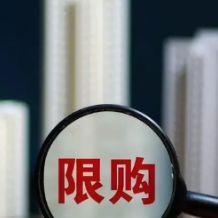 120平方米以上住房限购放开 苏州发布促进经济持续回升向好“30条”