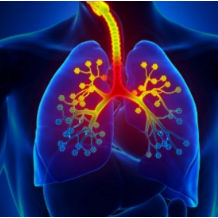 这份呼吸道传染病防控健康提示,请收好