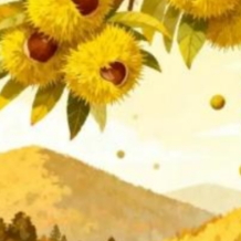 野采遇“刺客”?小心!长沙已有多人中招