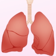 呼吸不畅当心慢阻肺 40岁及以上这个检查建议每年做