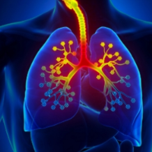 流感病毒“进化”了吗？专家回应： 当前流感仍处于季节性流行水平