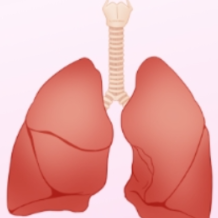 呼吸不顺、爬楼就喘?当心慢阻肺找上门