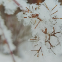 专家提醒：北上冰雪游需防范冻伤风险