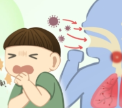 空气不佳叠加流感季，这份护肺攻略请收好