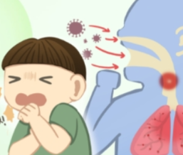 流感高发季,如何守护家人健康?防治指南来啦