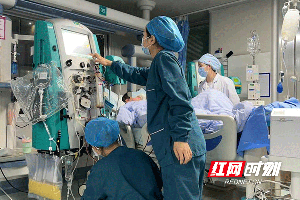 图片2.gif