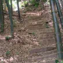 爬山避暑，这些“技能点”请查收