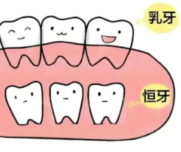 替牙期儿童口腔健康指南：科学护牙助力成长黄金期