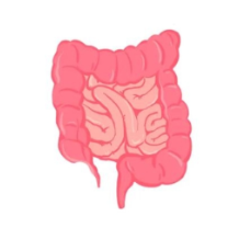 别让肠道“偷偷”生病！这5个预防方法要牢记