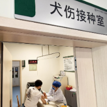 犬伤门诊迎夏季就诊高峰