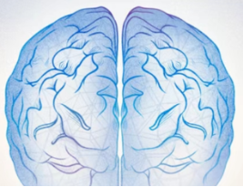 关于认知障碍，您了解多少？