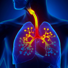 呼吸道疾病进入高发期 做好这几点远离“中招”