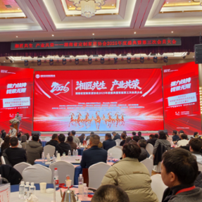 湘匠共生 产业共荣 湖南省定制家居协会举行2025年度盛典暨全体会员大会