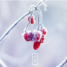 小寒尤胜大寒时 中医教你藏阳有道