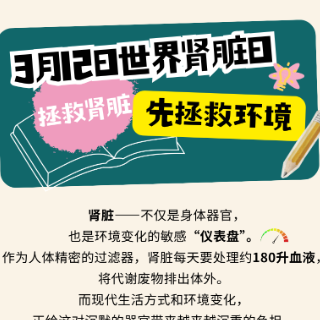 一图看懂｜为什么拯救肾脏，要先拯救环境